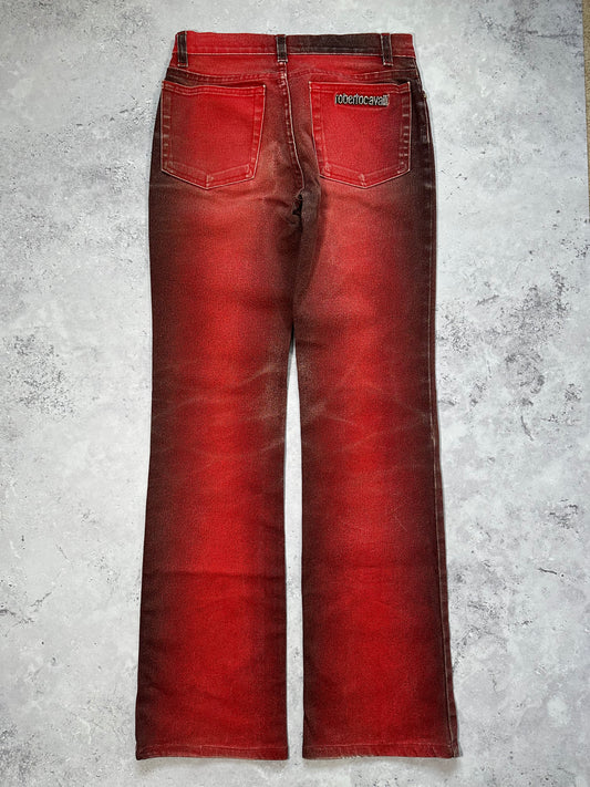 Roberto Cavalli 2002 Gradient Jeans / Trousers (XS)