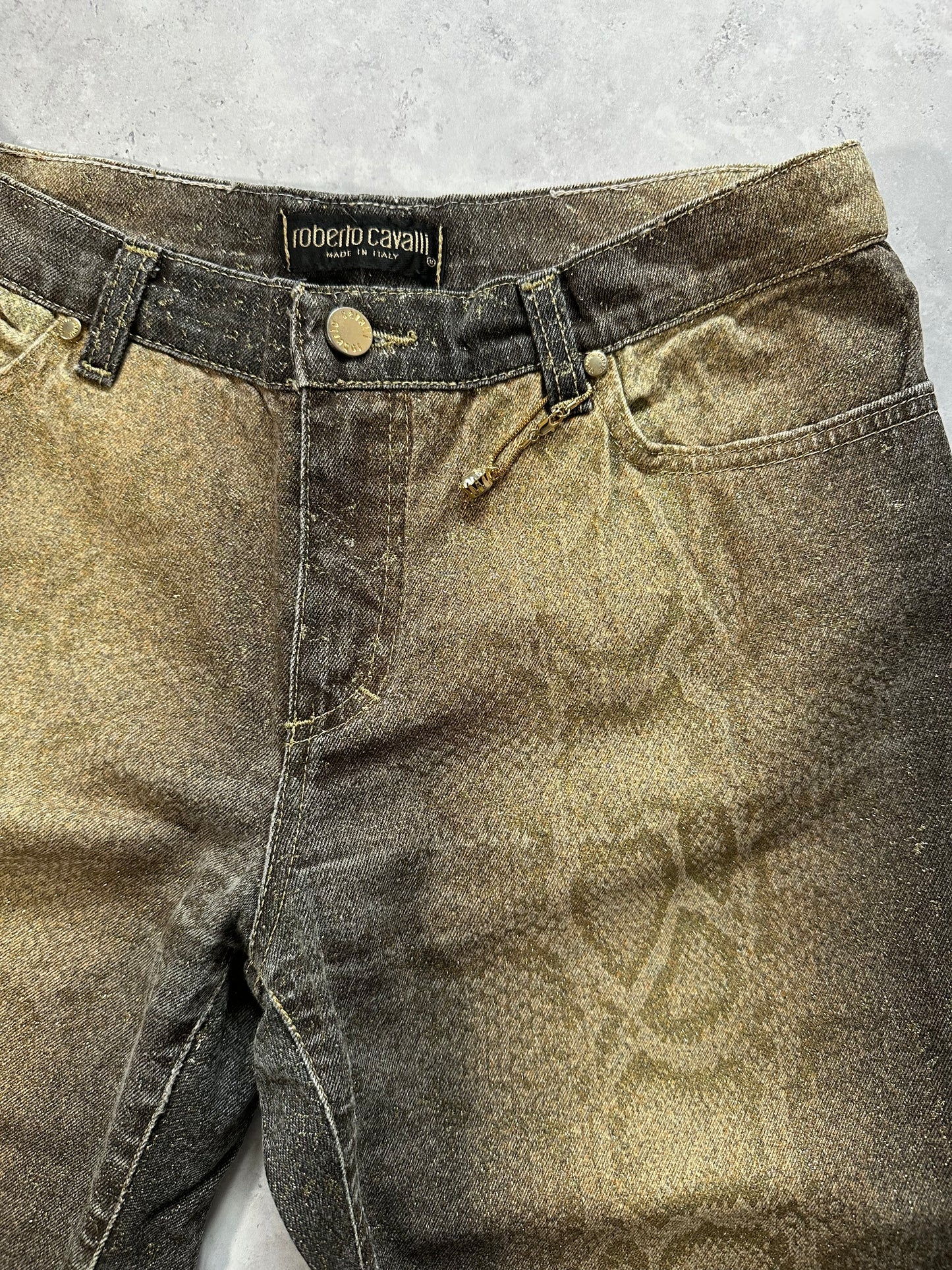 Roberto Cavalli AW1999 Gradient Metallic Python Effect Pants (W28 L30)