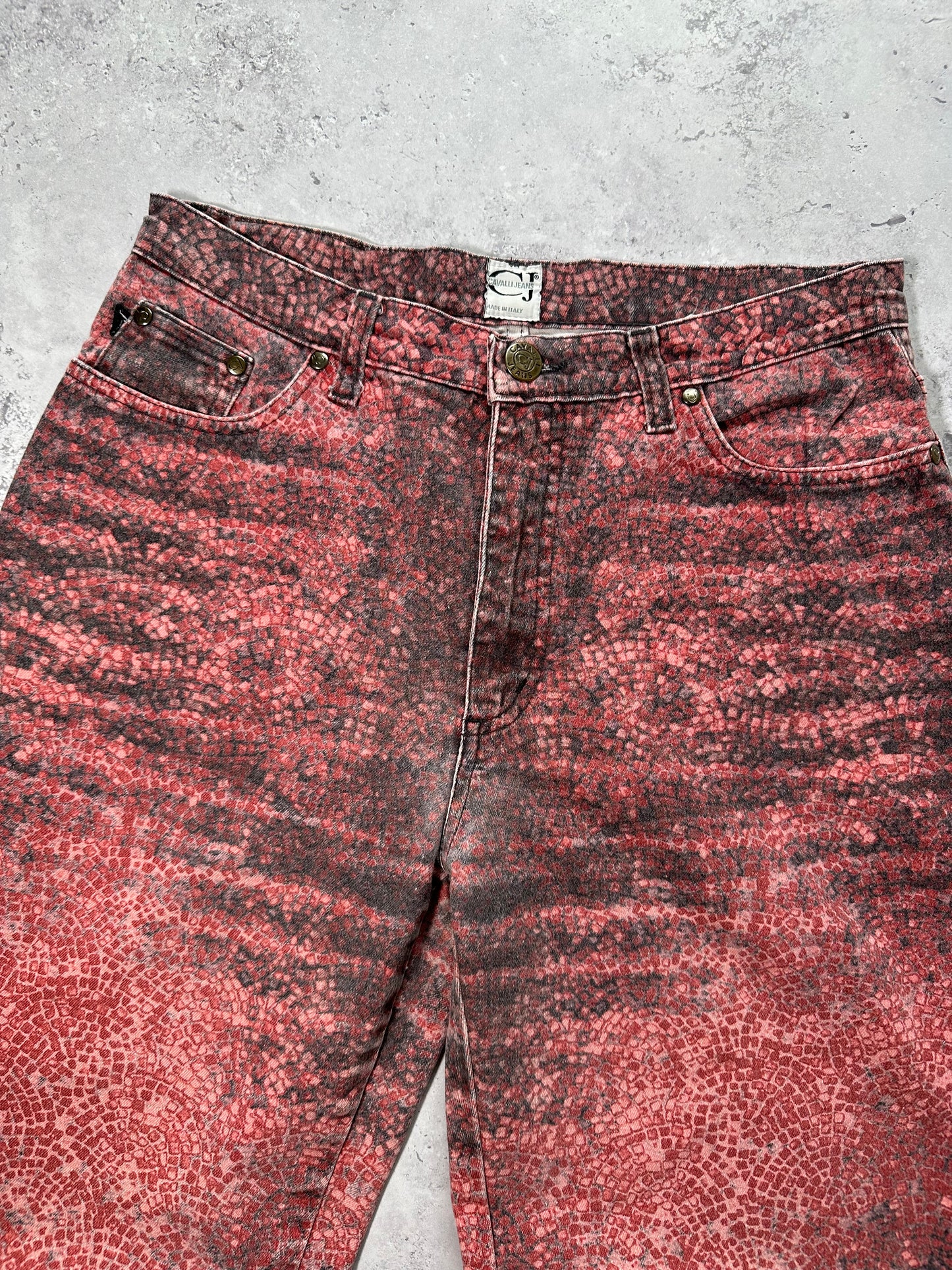 Roberto Cavalli 2005 Reptile Print Jeans (W30” L31”)