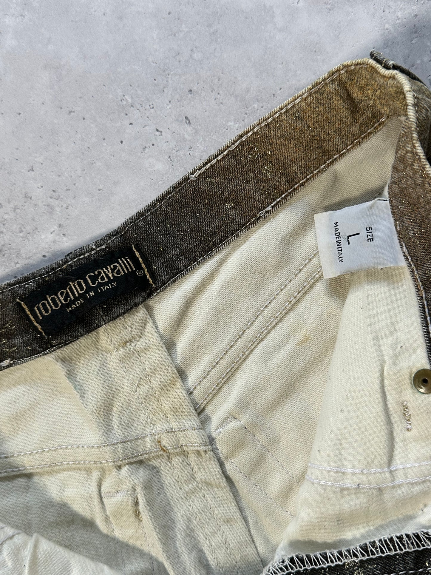 Roberto Cavalli AW1999 Gradient Metallic Python Effect Pants (W28 L30)
