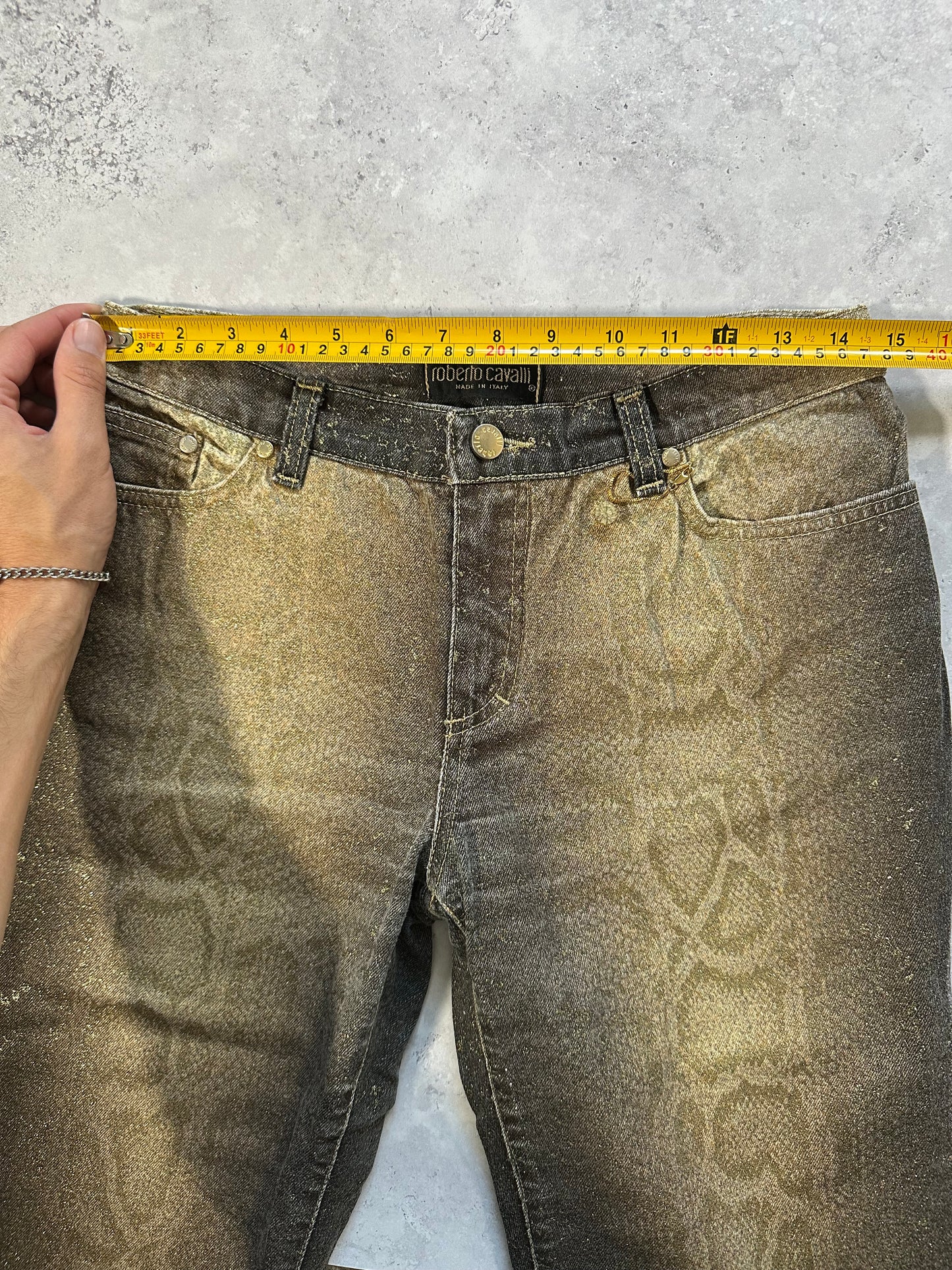 Roberto Cavalli AW1999 Gradient Metallic Python Effect Pants (W28 L30)