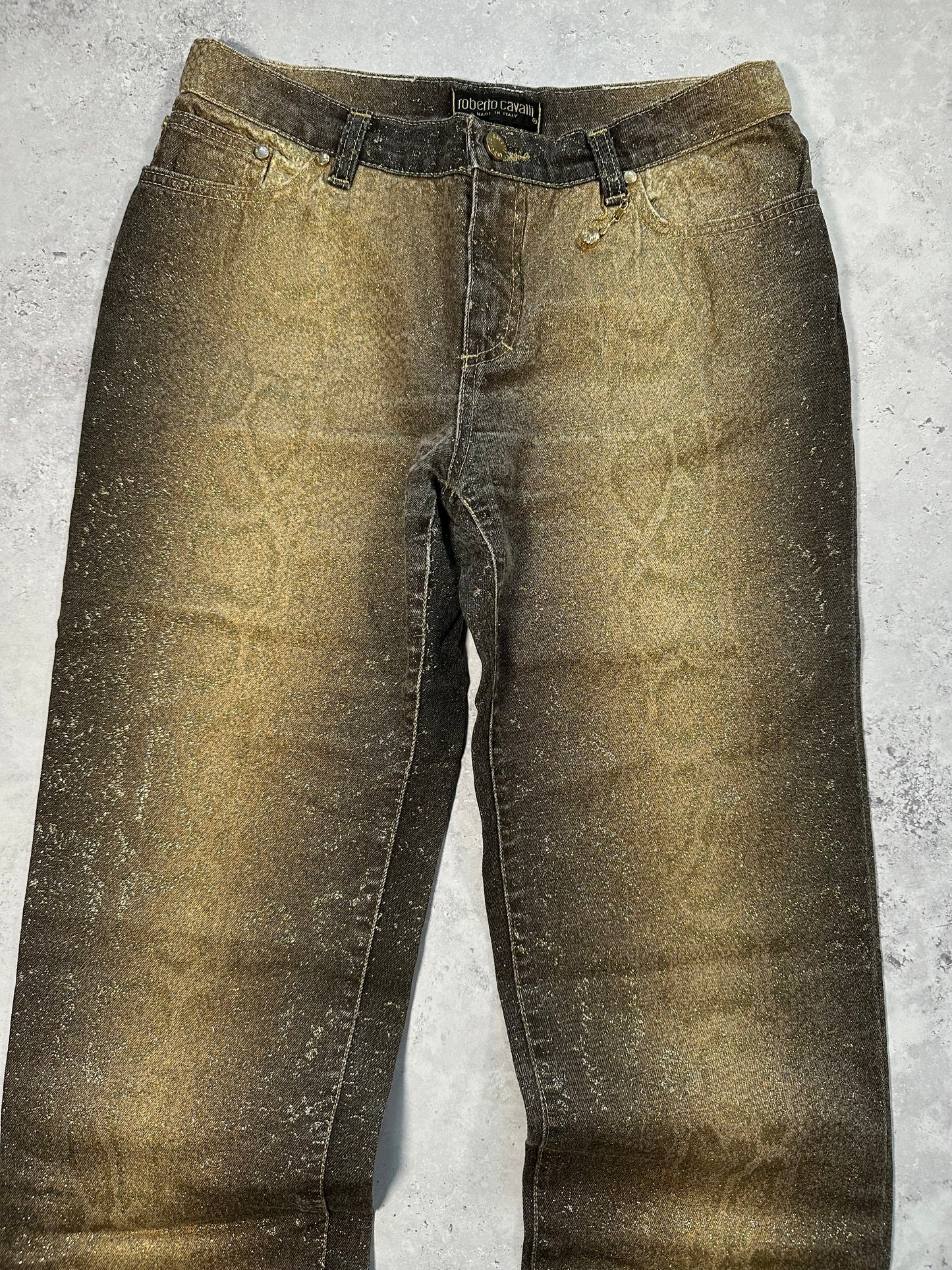 Roberto Cavalli AW1999 Gradient Metallic Python Effect Pants (W28 L30)