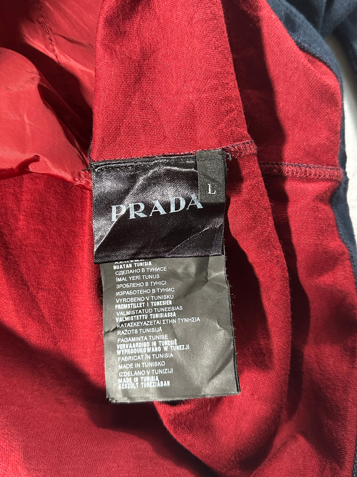 Prada Sport Zip Up Hoodie (L)