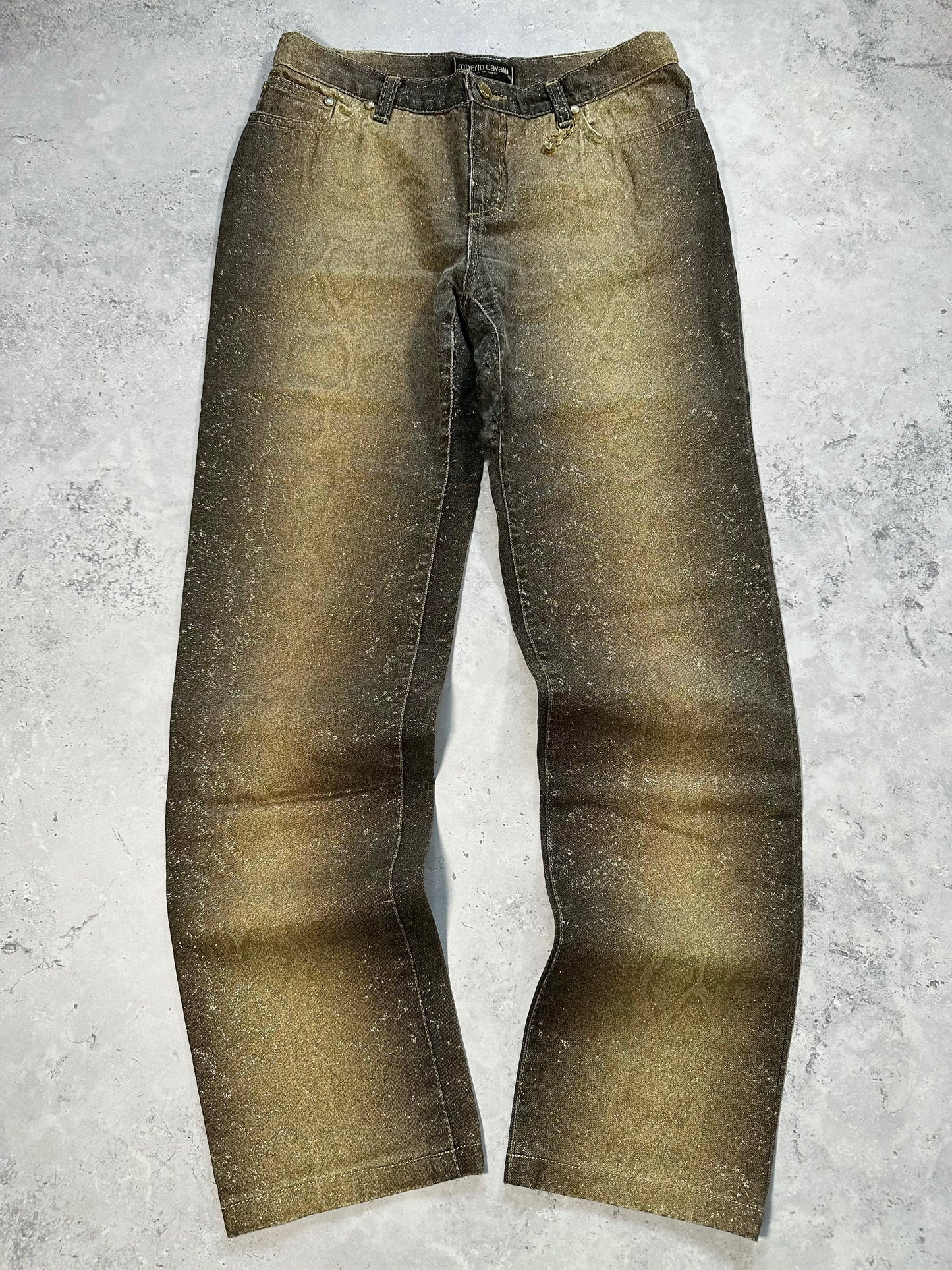 Roberto Cavalli AW1999 Gradient Metallic Python Effect Pants (W28 L30)